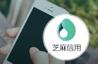 芝麻信用推出“靈芝”系統，以企業級征信服務賦能商業生態