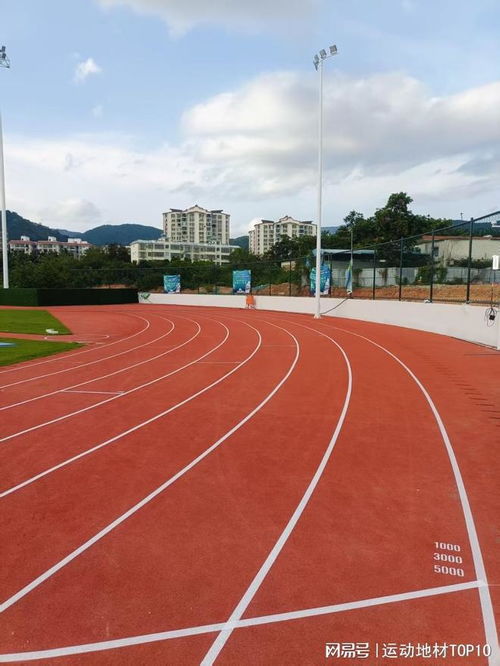 2025年塑膠跑道十大品牌排行榜 告別選擇困難，科學甄選優質生產商